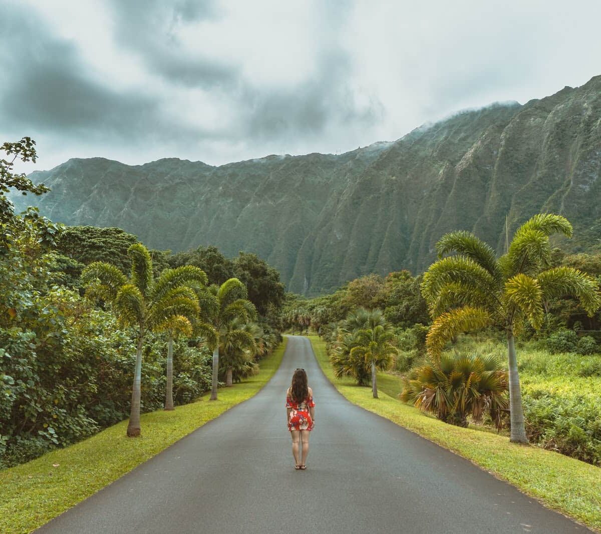 Welcome To The Urban Jungle